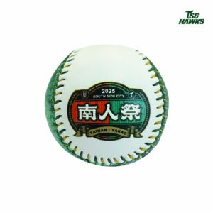 2025南人祭主題球