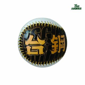 2025覺察多巴胺主題鷹雄祈福球