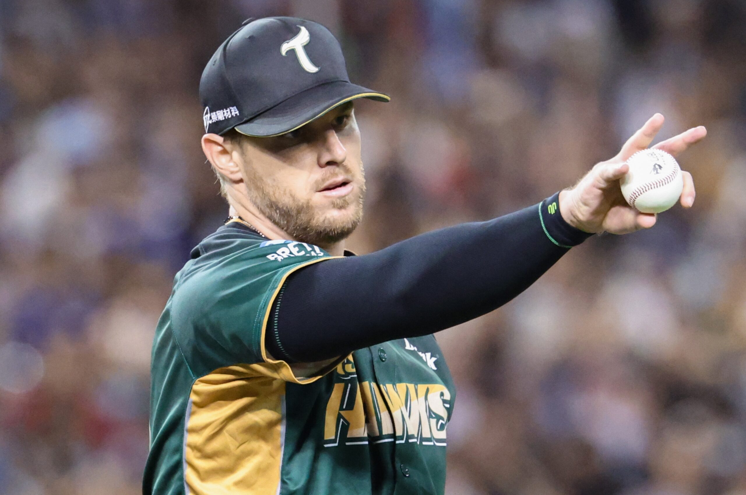 Read more about the article 後勁6局失1分優質先發 台鋼雄鷹4：2戰勝富邦悍將