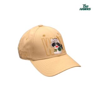 吳念庭中職百安紀念老帽