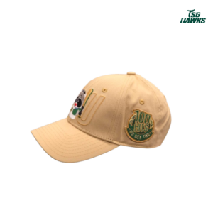 吳念庭中職百安紀念老帽