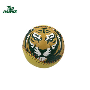 黃子鵬加盟如虎添翼主題球