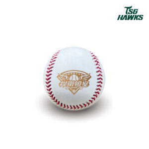 2026捍衛領空港都國際交流戰紀念比賽用球