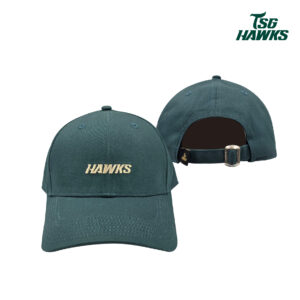 HAWKS LOGO老帽-海洋綠