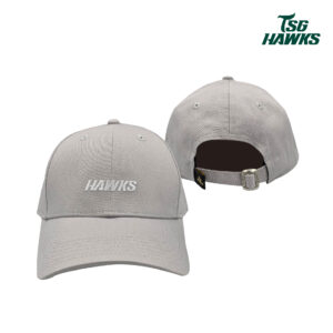 HAWKS LOGO老帽-質感灰
