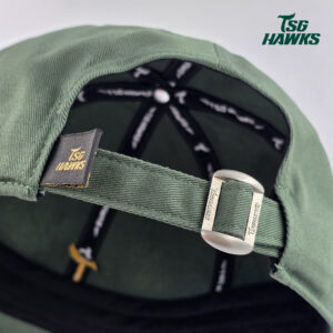 雄鷹 T LOGO老帽-雄鷹綠