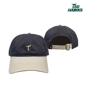 雄鷹 T LOGO老帽-灰米款