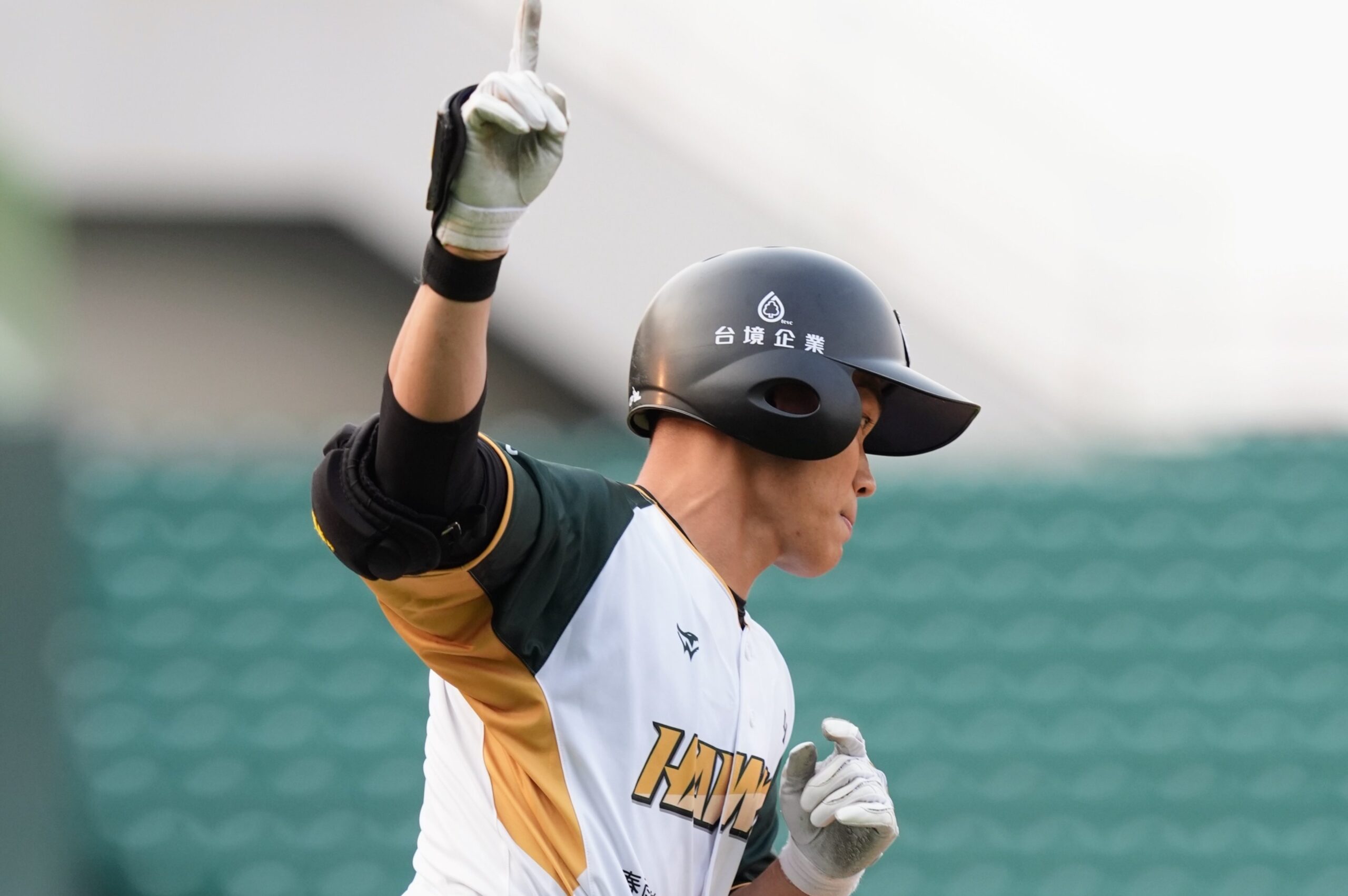 Read more about the article 台鋼雄鷹澄清湖主場開幕戰 王柏融單場雙響砲慶祝