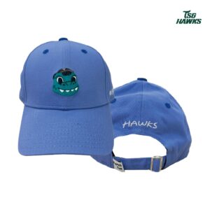 動物群鷹會主題老帽 #14恐龍詩翔