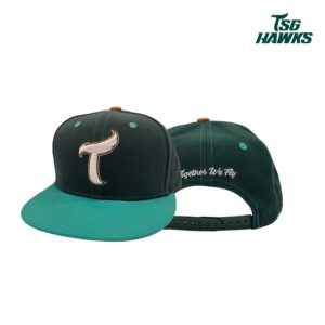 2026南人祭主題可調球帽