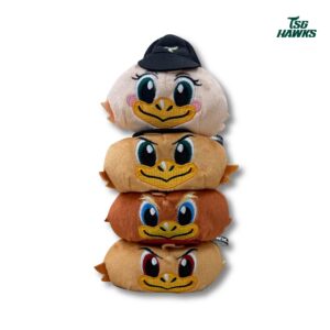 鷹家三兄妹與TA的青梅竹馬混在一起沙包球組