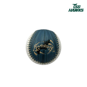 2026高雄製造城市系列主題紀念球